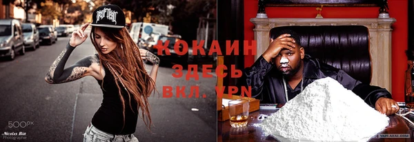 СК Няндома