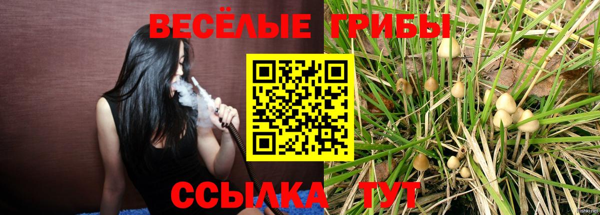 продажа наркотиков  Галлюциногенные грибы Psilocybe  Вход с VPN  Отрадное 