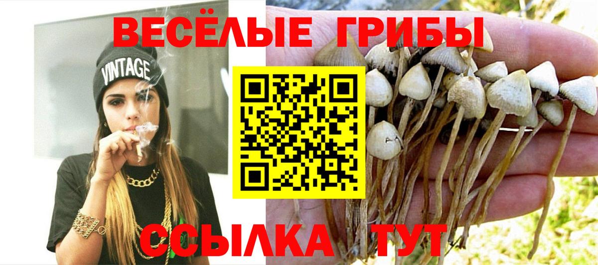 Псилоцибиновые грибы GOLDEN TEACHER Отрадное